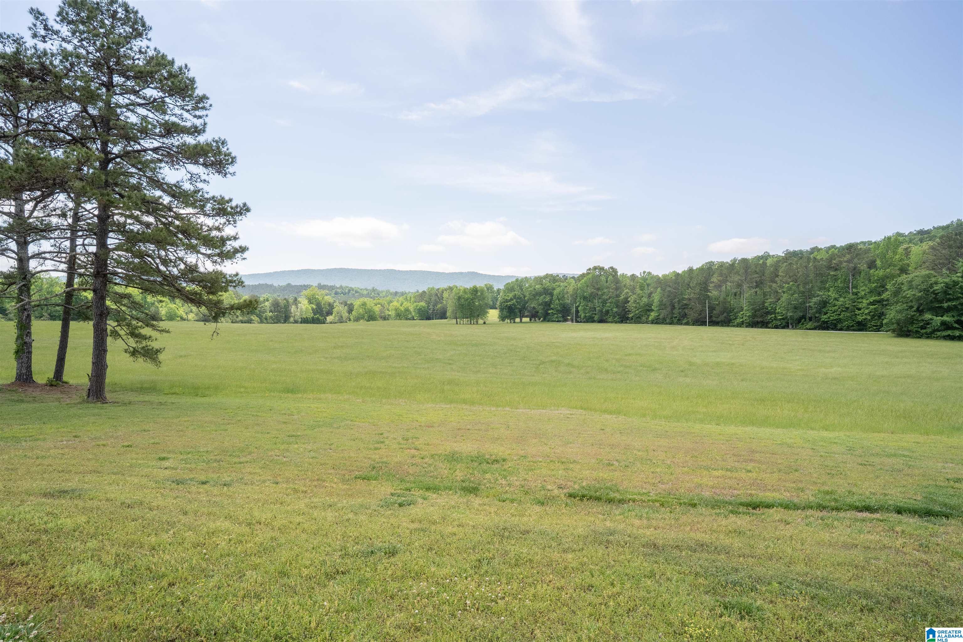 2741 Possum Trot Road Piedmont, AL 36272 - Photo 7 of 62