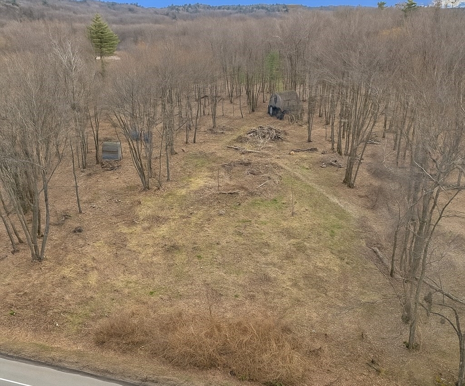 a view of a dry yard with trees