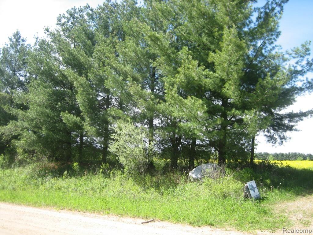 0 Lothrop Road Imlay City, MI 48444 - Photo 2 of 9