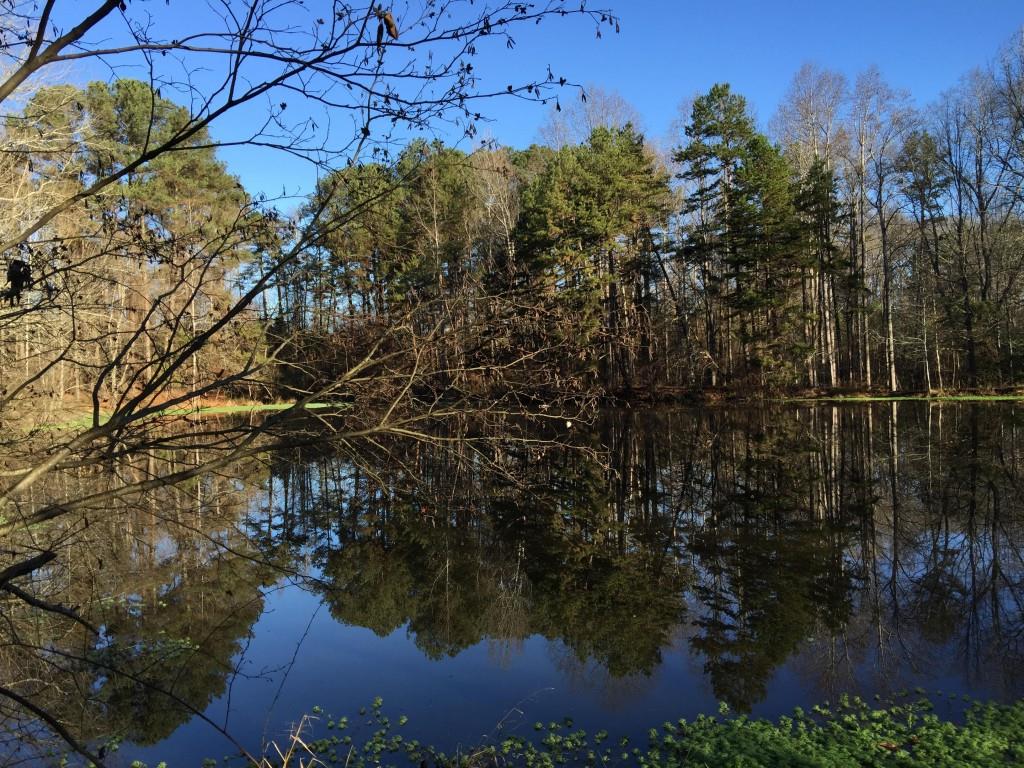 155 Tower Road Martin, GA 30557 - Photo 1 of 1