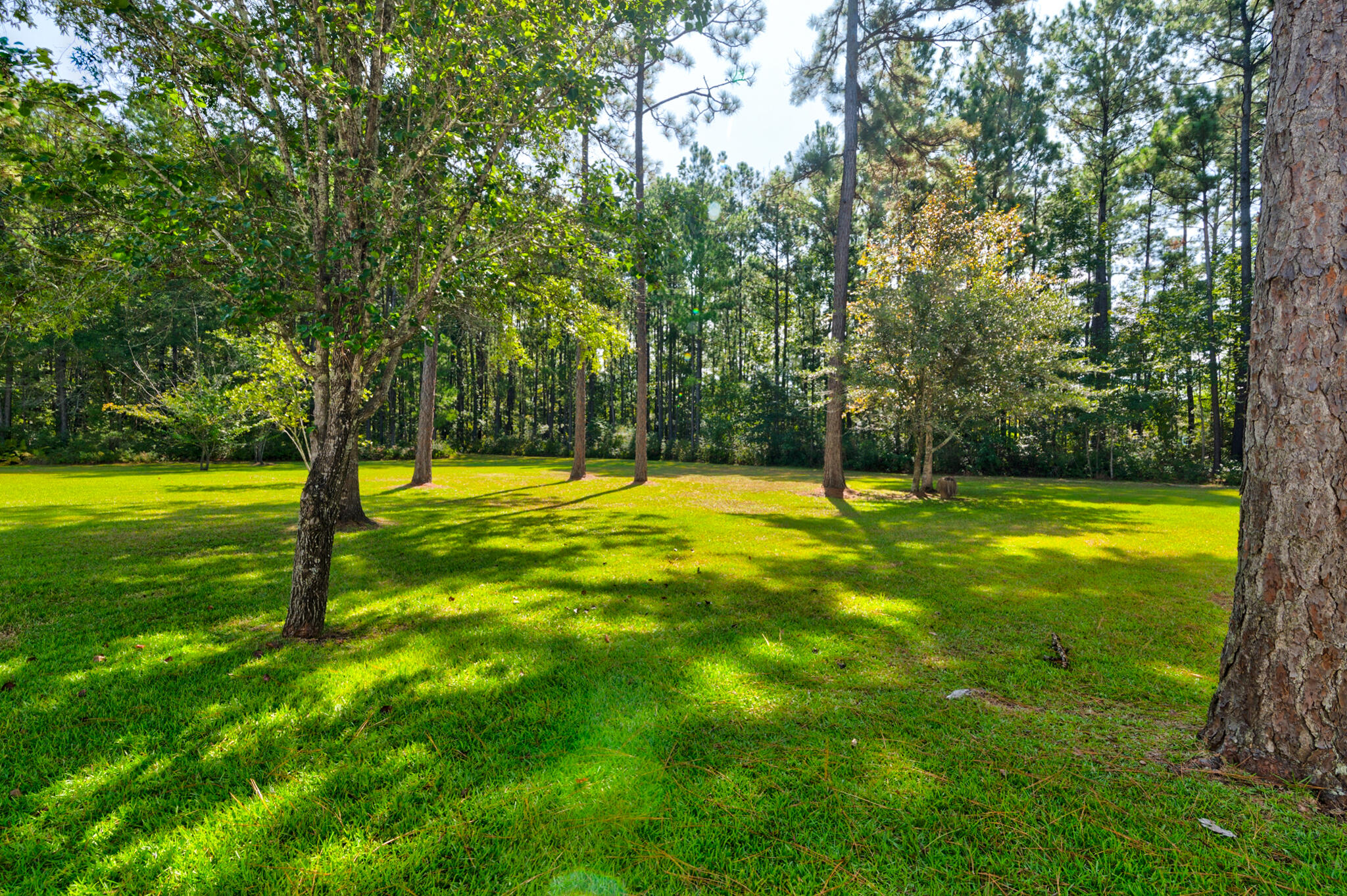 751 Deerhaven Court Huger, SC 29450 - Photo 21 of 47 751 Deerhaven - 45 - CMG