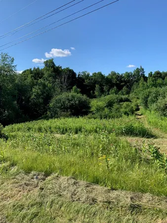 $120,000 | 0 County Road 16, Watkins Glen, NY 14891