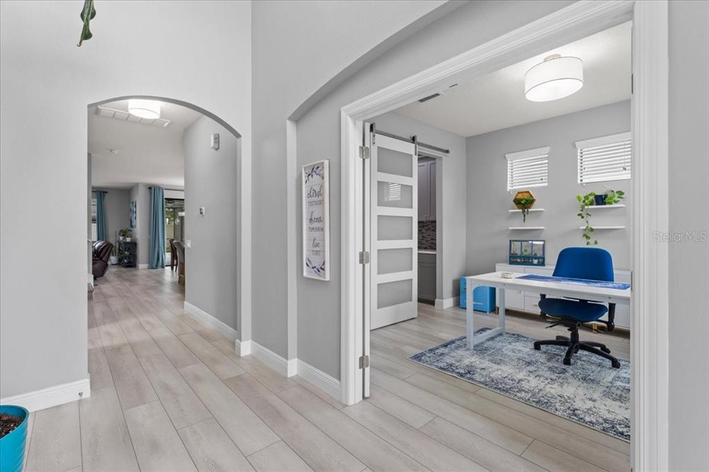 1675 Feather Grass Loop Lutz, FL 33558 - Photo 11 of 63