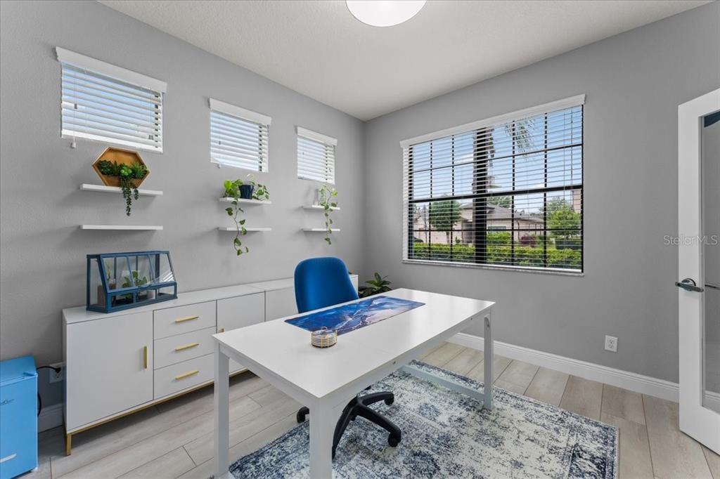 1675 Feather Grass Loop Lutz, FL 33558 - Photo 12 of 63