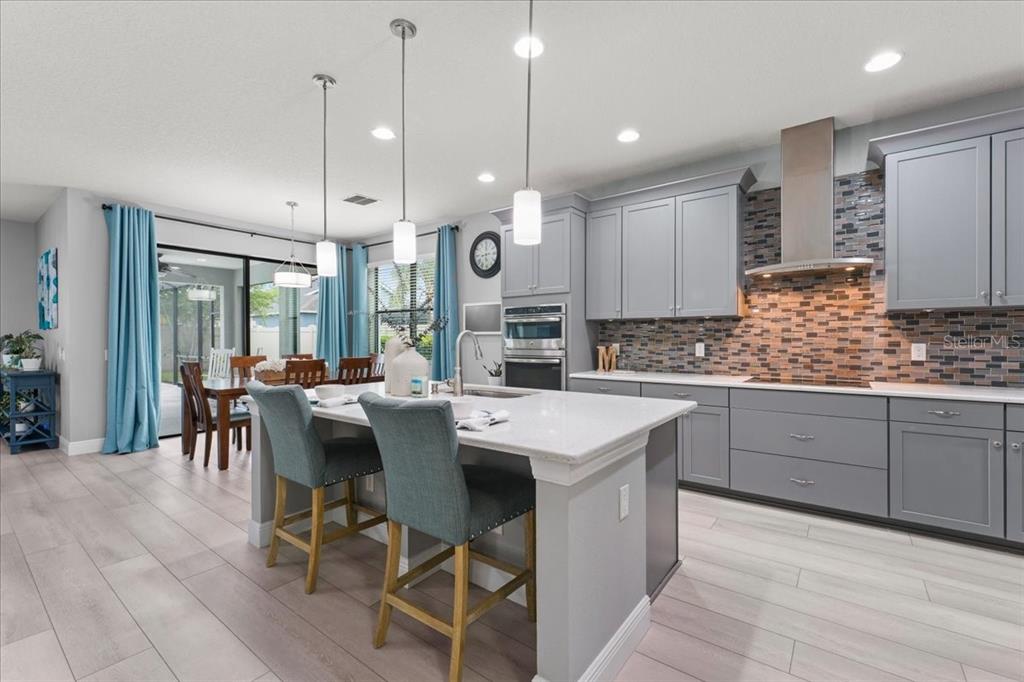 1675 Feather Grass Loop Lutz, FL 33558 - Photo 17 of 63