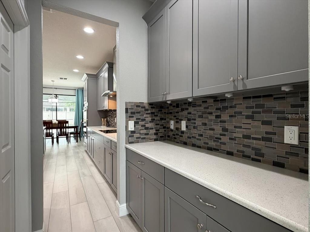 1675 Feather Grass Loop Lutz, FL 33558 - Photo 23 of 63