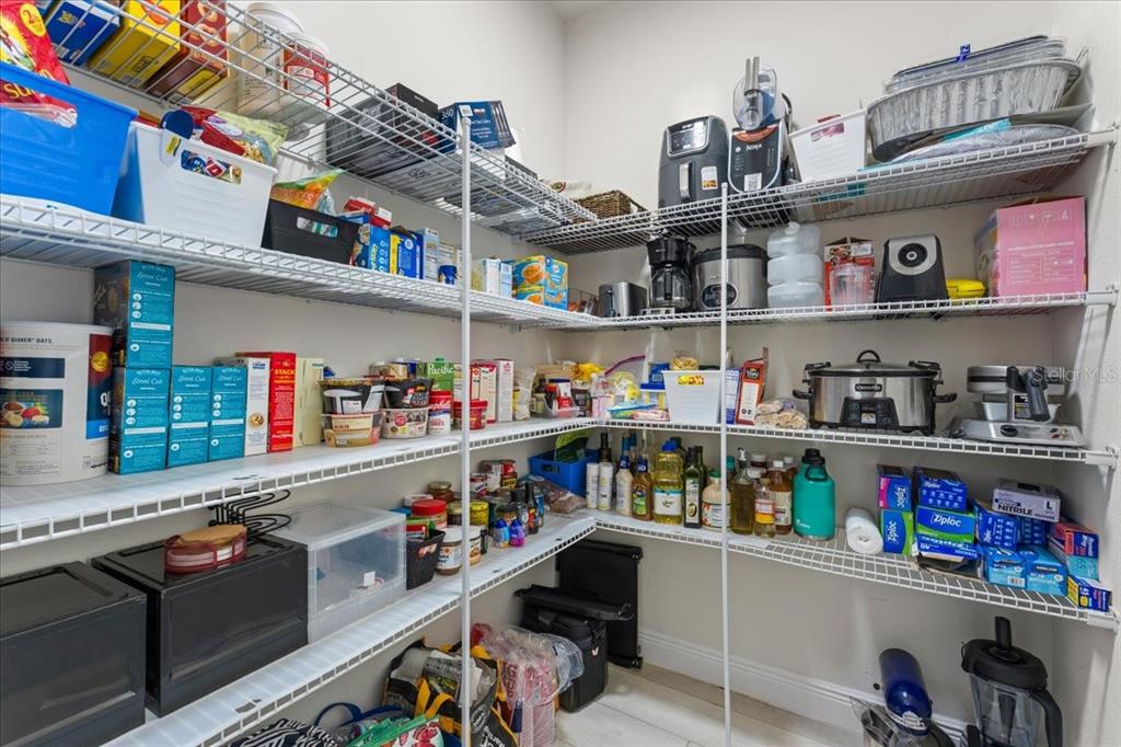 1675 Feather Grass Loop Lutz, FL 33558 - Photo 27 of 63