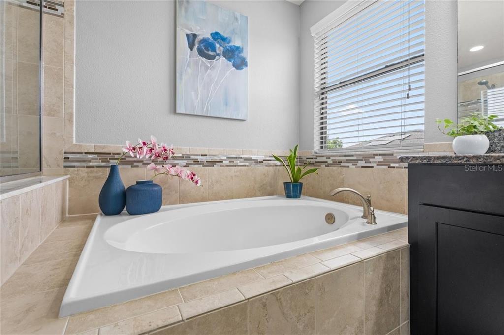 1675 Feather Grass Loop Lutz, FL 33558 - Photo 39 of 63