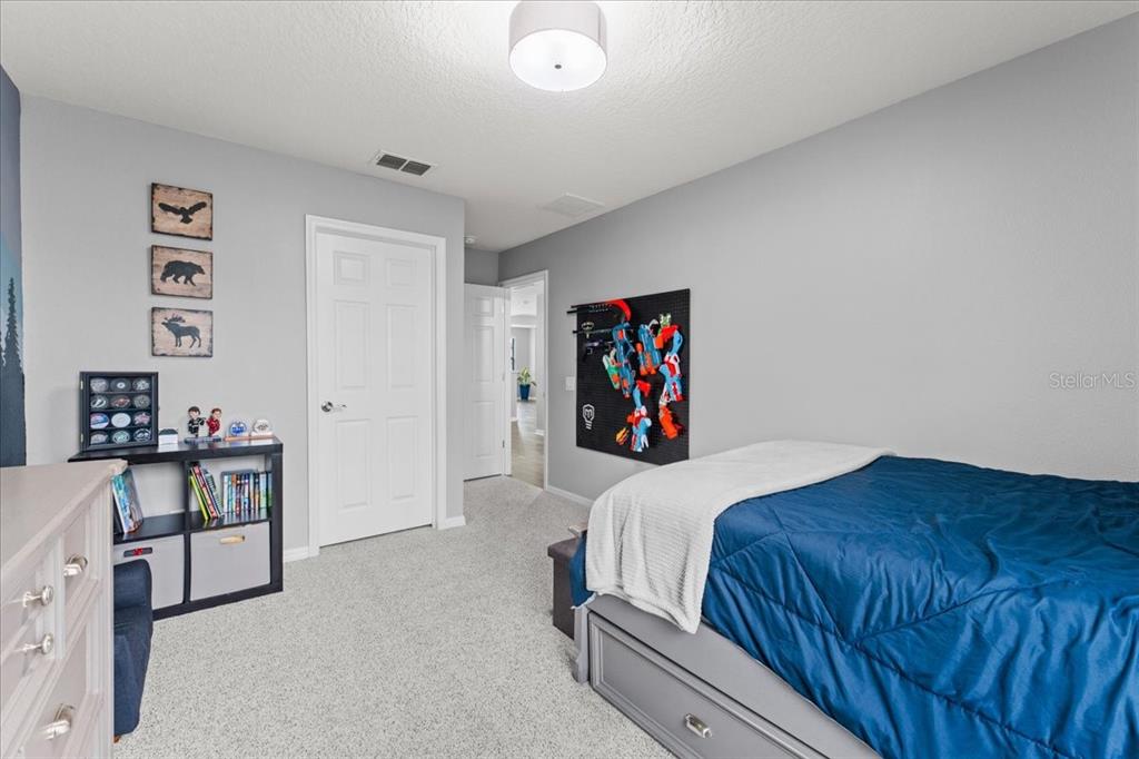 1675 Feather Grass Loop Lutz, FL 33558 - Photo 52 of 63