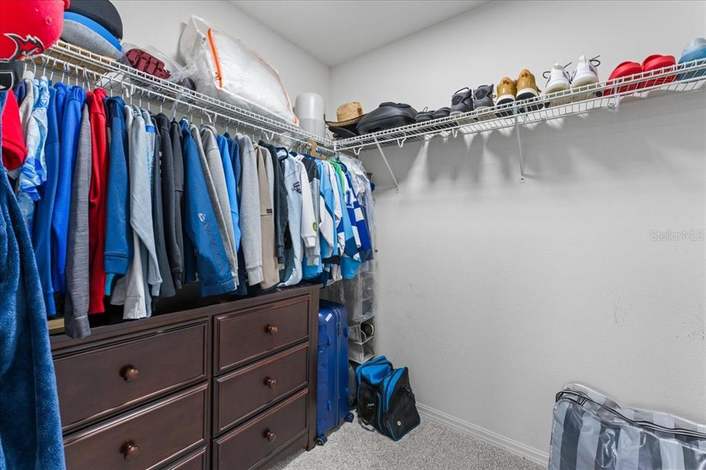 1675 Feather Grass Loop Lutz, FL 33558 - Photo 54 of 63