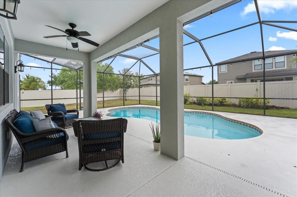 1675 Feather Grass Loop Lutz, FL 33558 - Photo 61 of 63