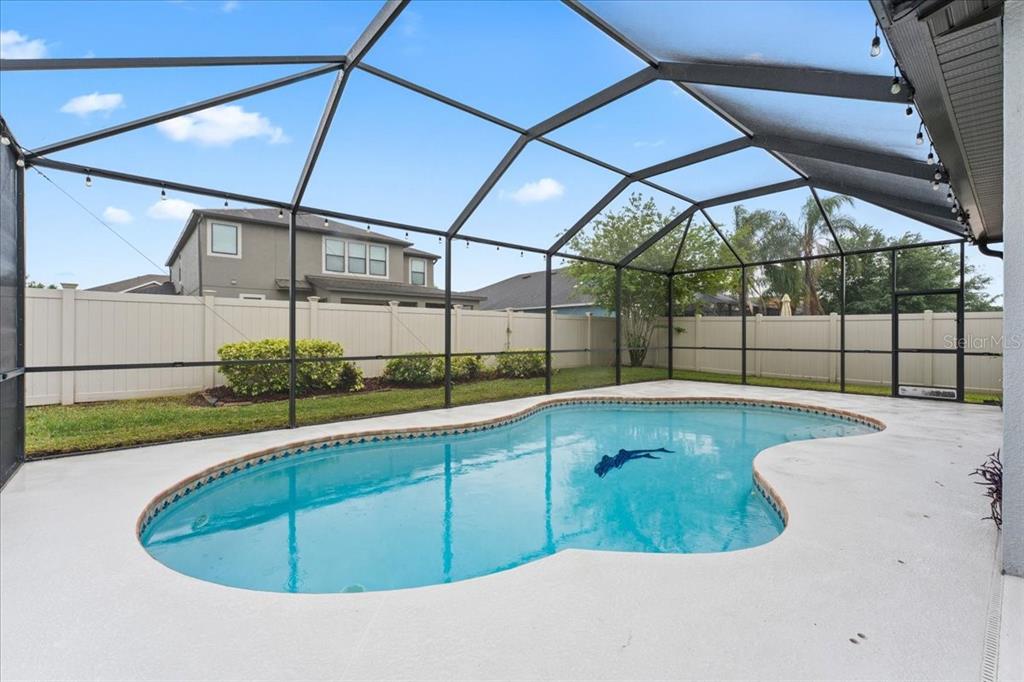 1675 Feather Grass Loop Lutz, FL 33558 - Photo 62 of 63