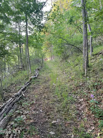 $60,000 | 39 Floral Avenue, Canajoharie, NY 13317