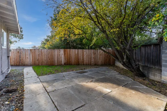 a view of a backyard with large trees and wooden fence