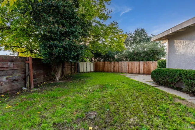 a view of a backyard with large trees and wooden fence