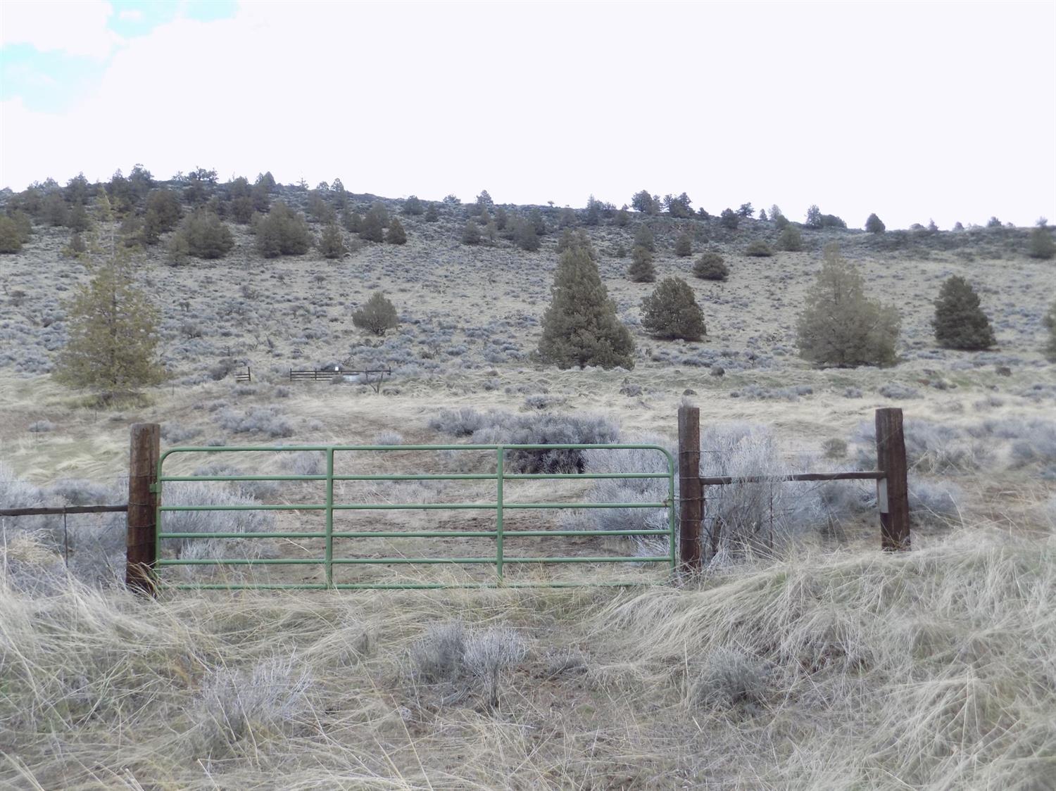 2800 Drazil Road Malin, OR 97632 - Photo 1 of 6 Primary Photo