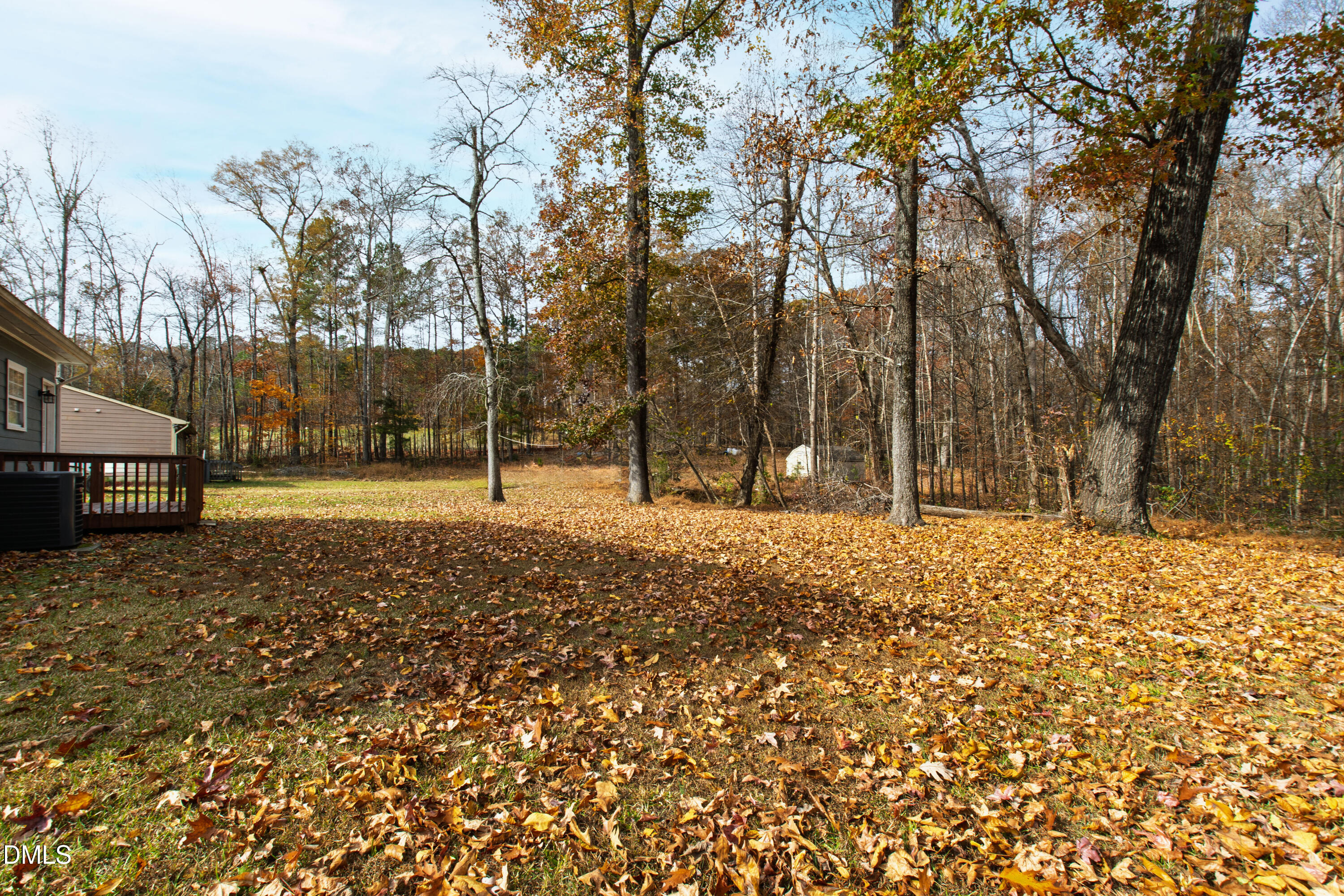 705 Felicia Street Durham, NC 27704 - Photo 32 of 37 a view of outdoor space with trees