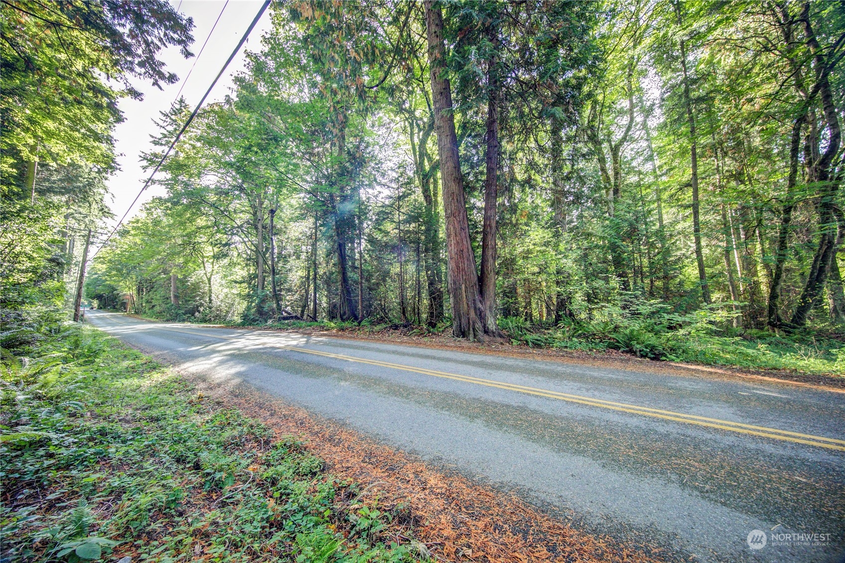 -ne Northeast N Tolo Road Bainbridge Island, WA 98110 - Photo 2 of 12 a view of a yard with large trees