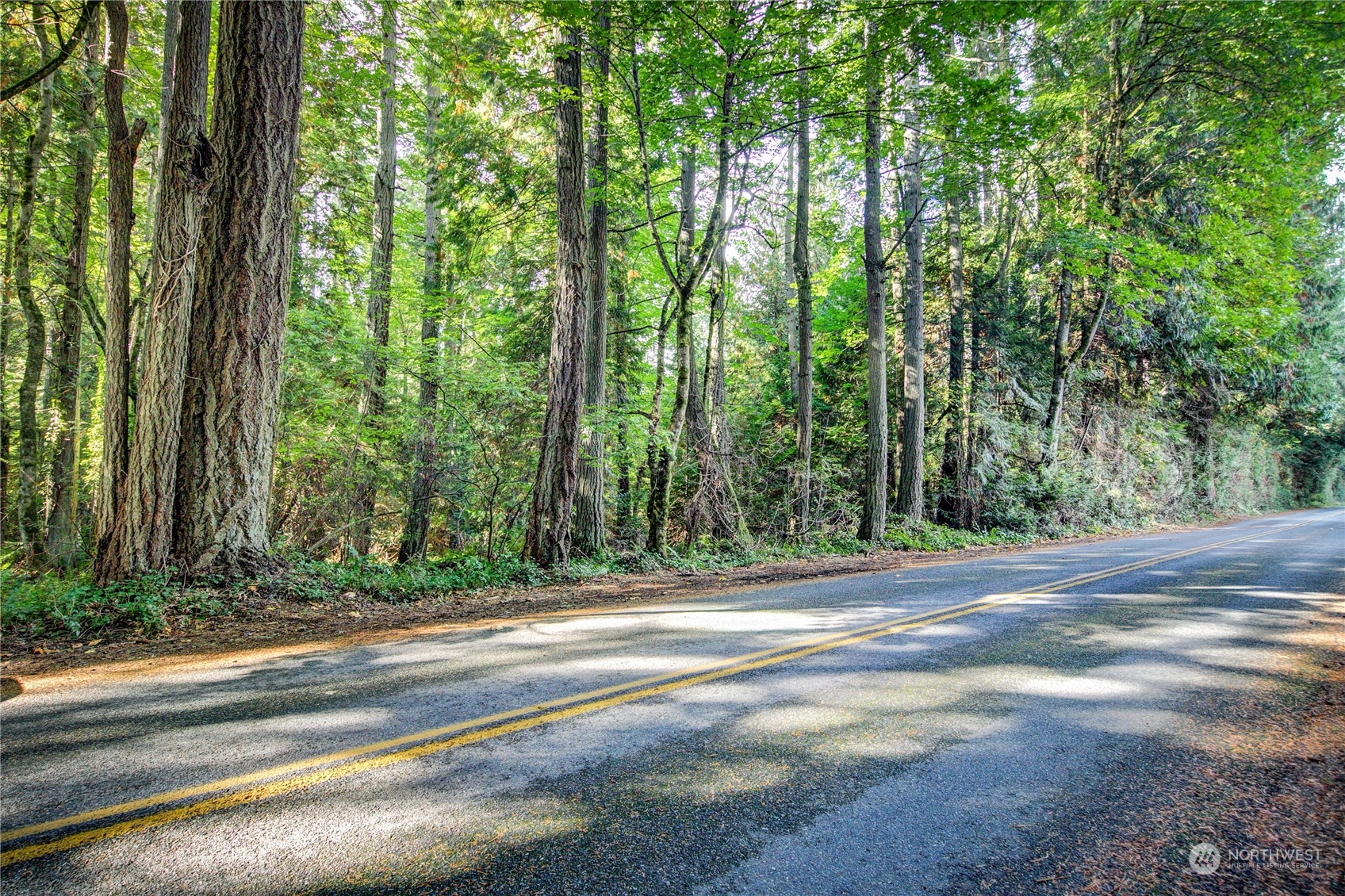 -ne Northeast N Tolo Road Bainbridge Island, WA 98110 - Photo 3 of 12 a view of backyard with green space