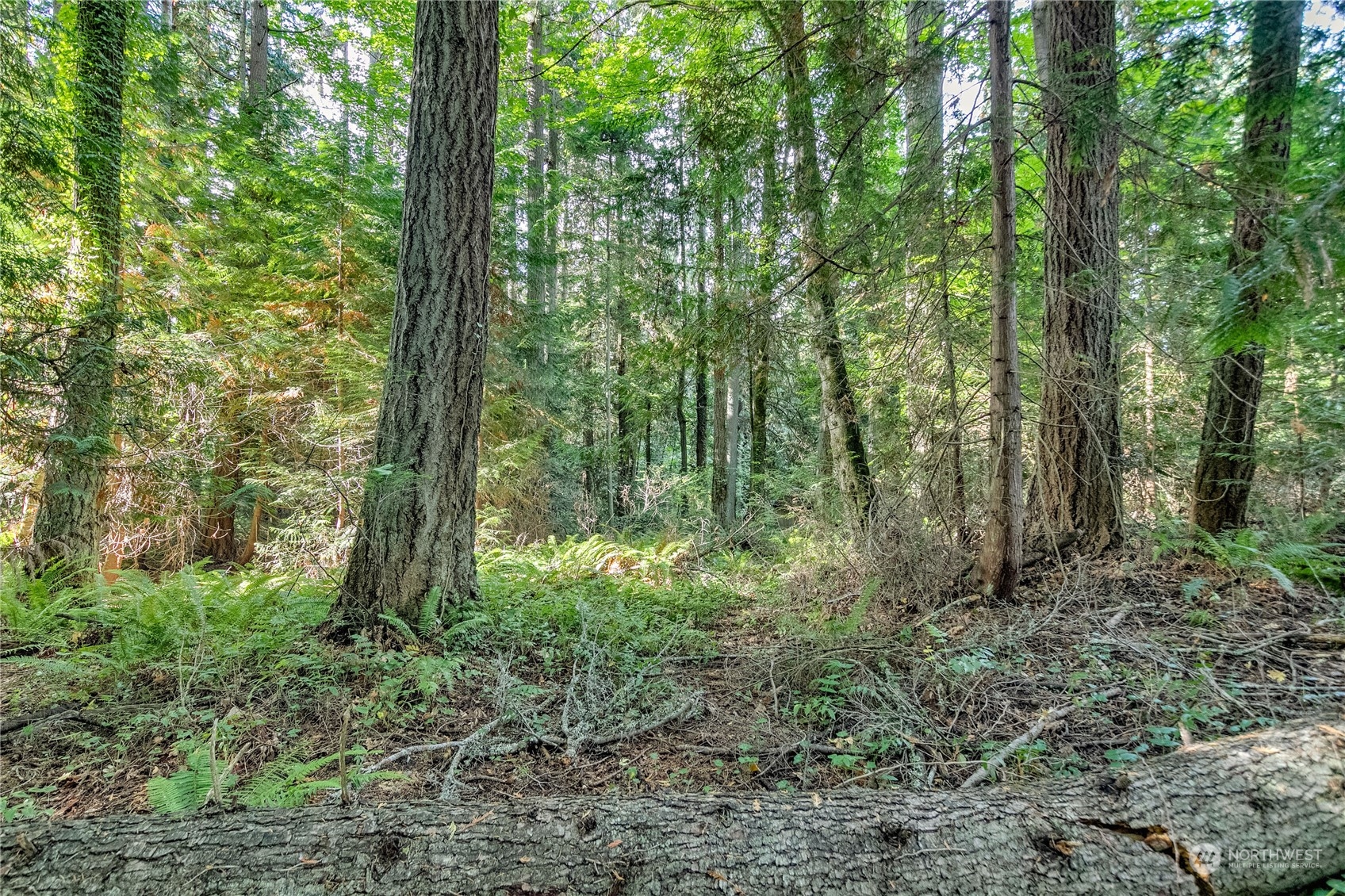 -ne Northeast N Tolo Road Bainbridge Island, WA 98110 - Photo 4 of 12 a view of outdoor space and green space