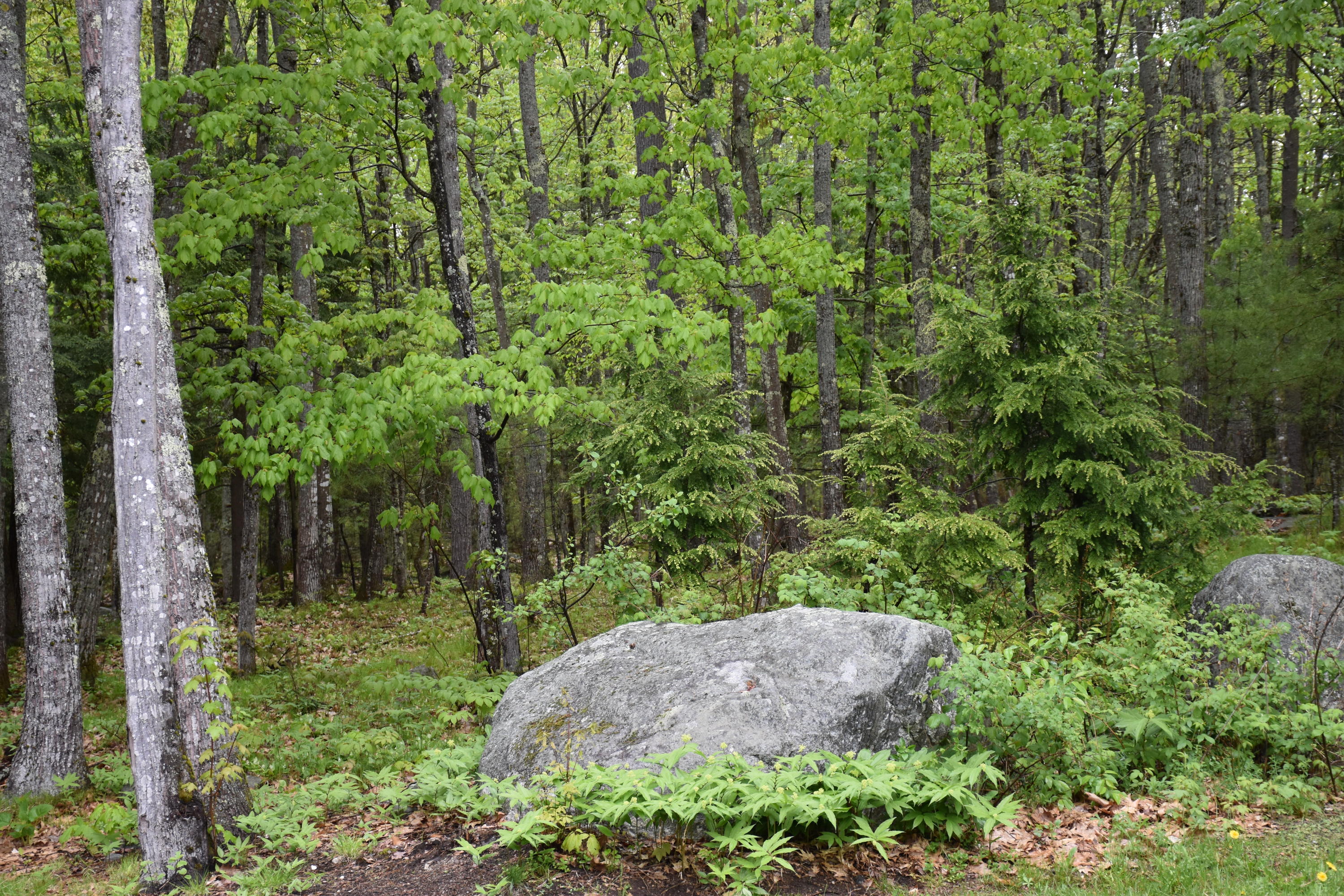 568 Methodist Road Westbrook, ME 04092 - Photo 25 of 34 25