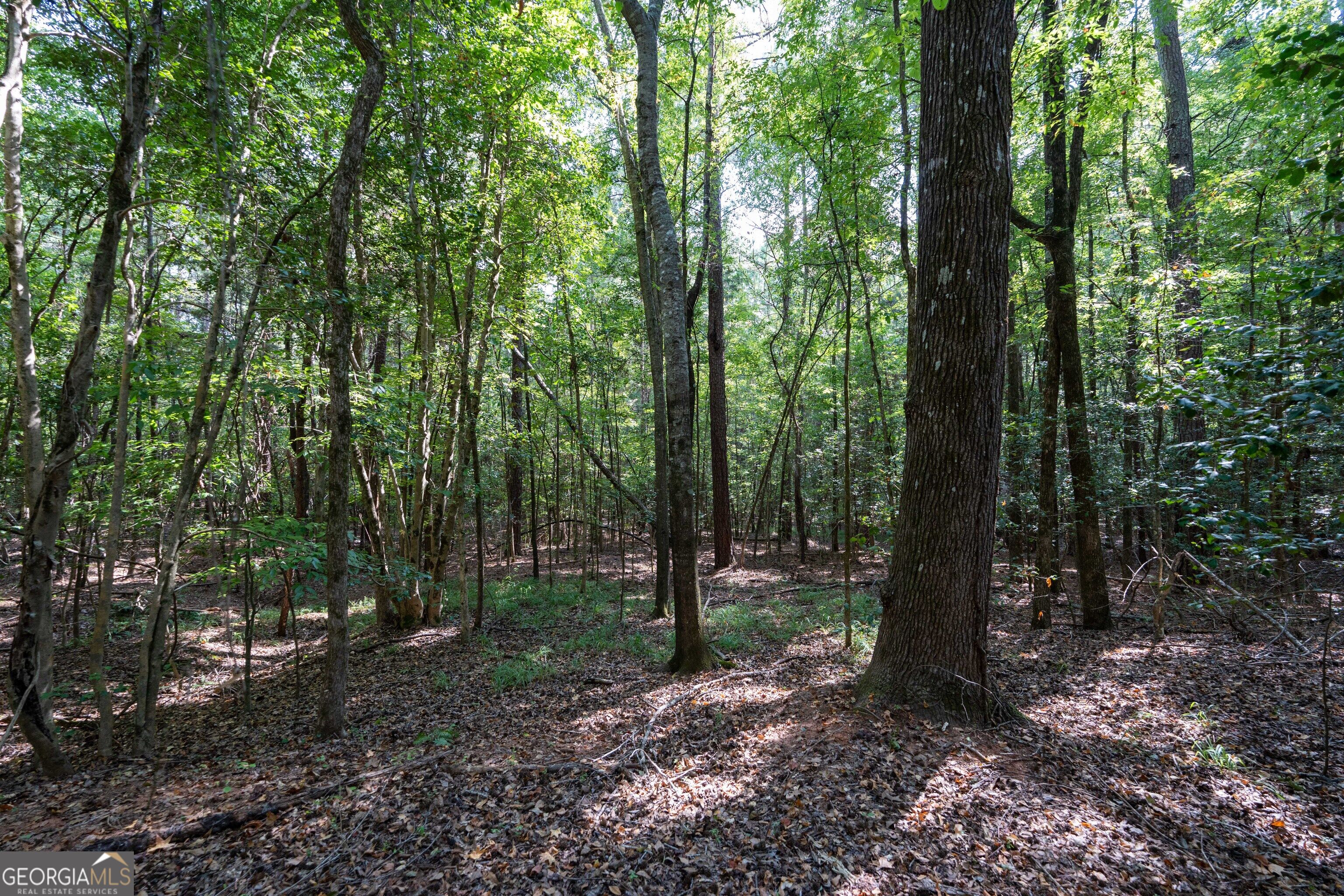 1419 Bobby Brown State Park Road Elberton, GA 30635 - Photo 15 of 90 Gallery Image 15