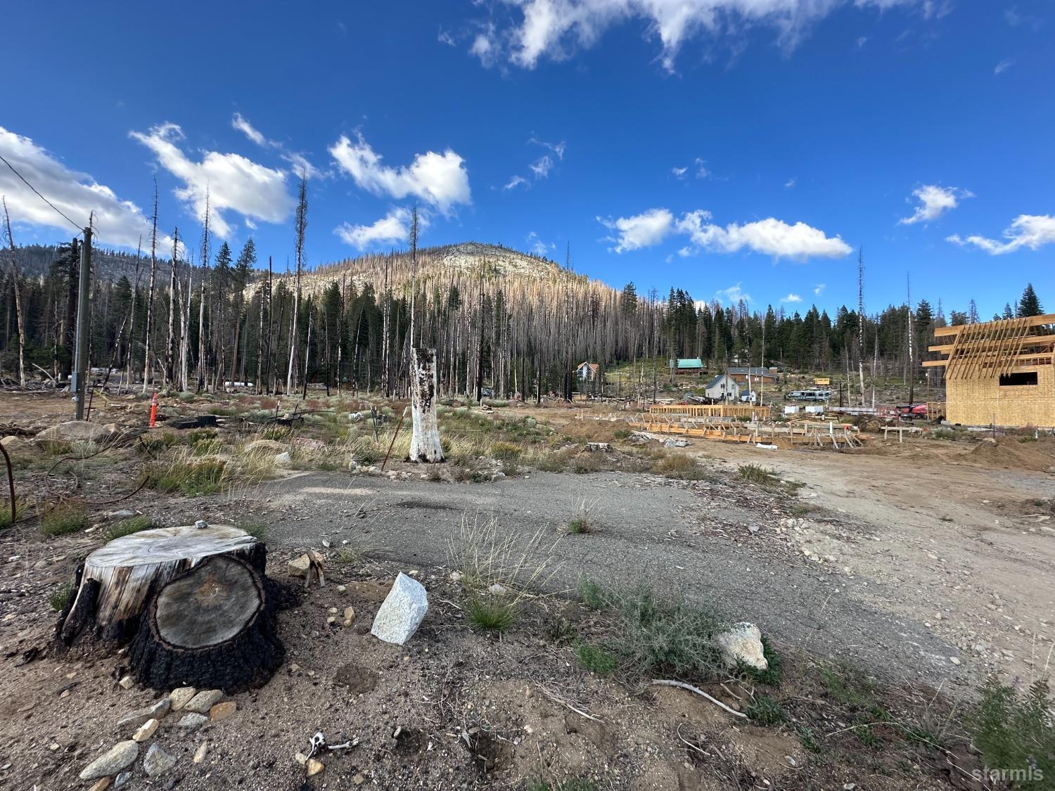 7137 Mount Ralston Road Twin Bridges, CA 95735 - Photo 2 of 3 a view of a backyard with large trees