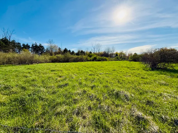 $390,000 | 1525 South Poplar Road, Custer, MI 49405