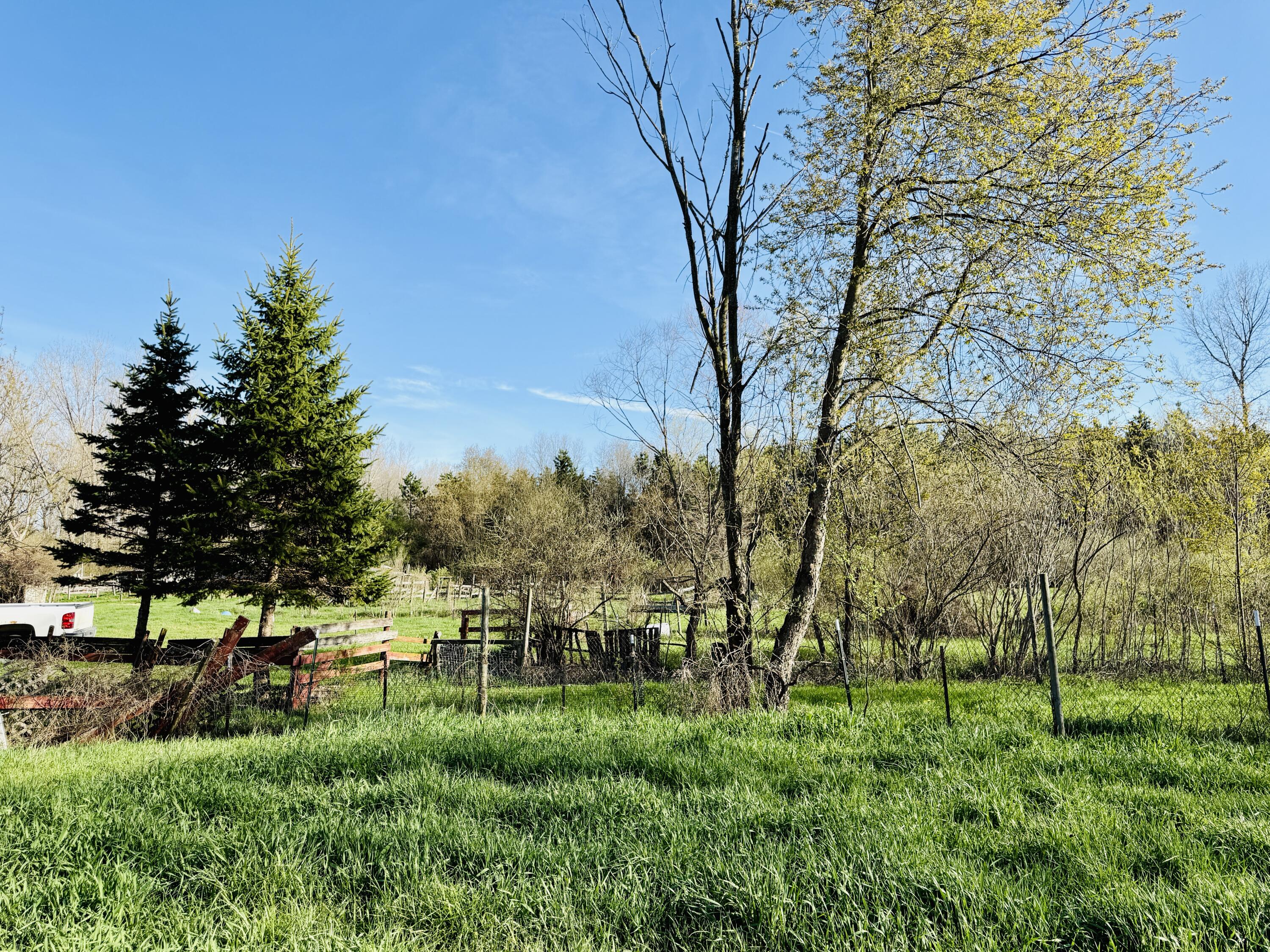 1525 South Poplar Road Custer, MI 49405 - Photo 31 of 70 IMG_1281 2