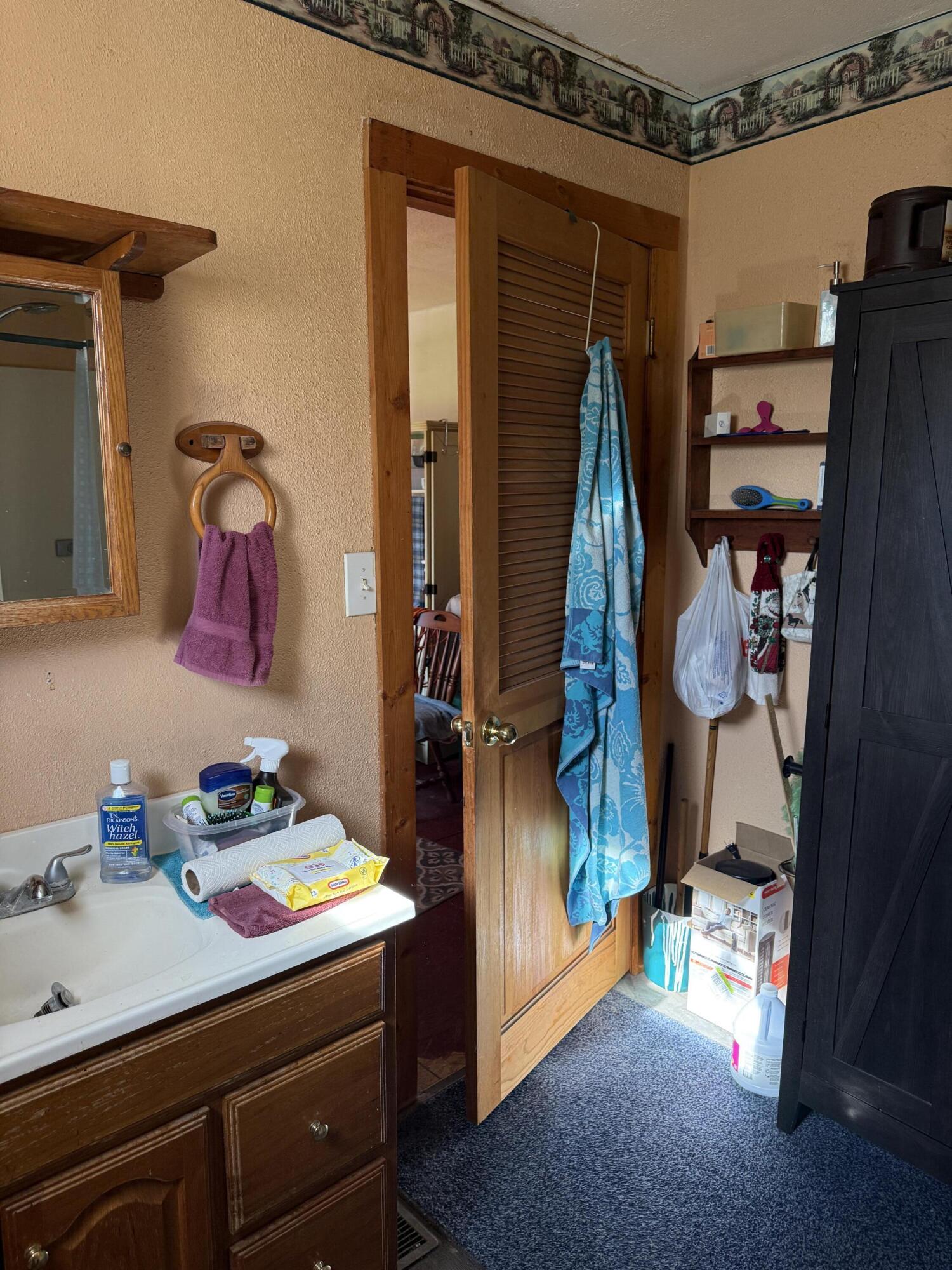 1525 South Poplar Road Custer, MI 49405 - Photo 43 of 70 Upper Level ensuite Bath