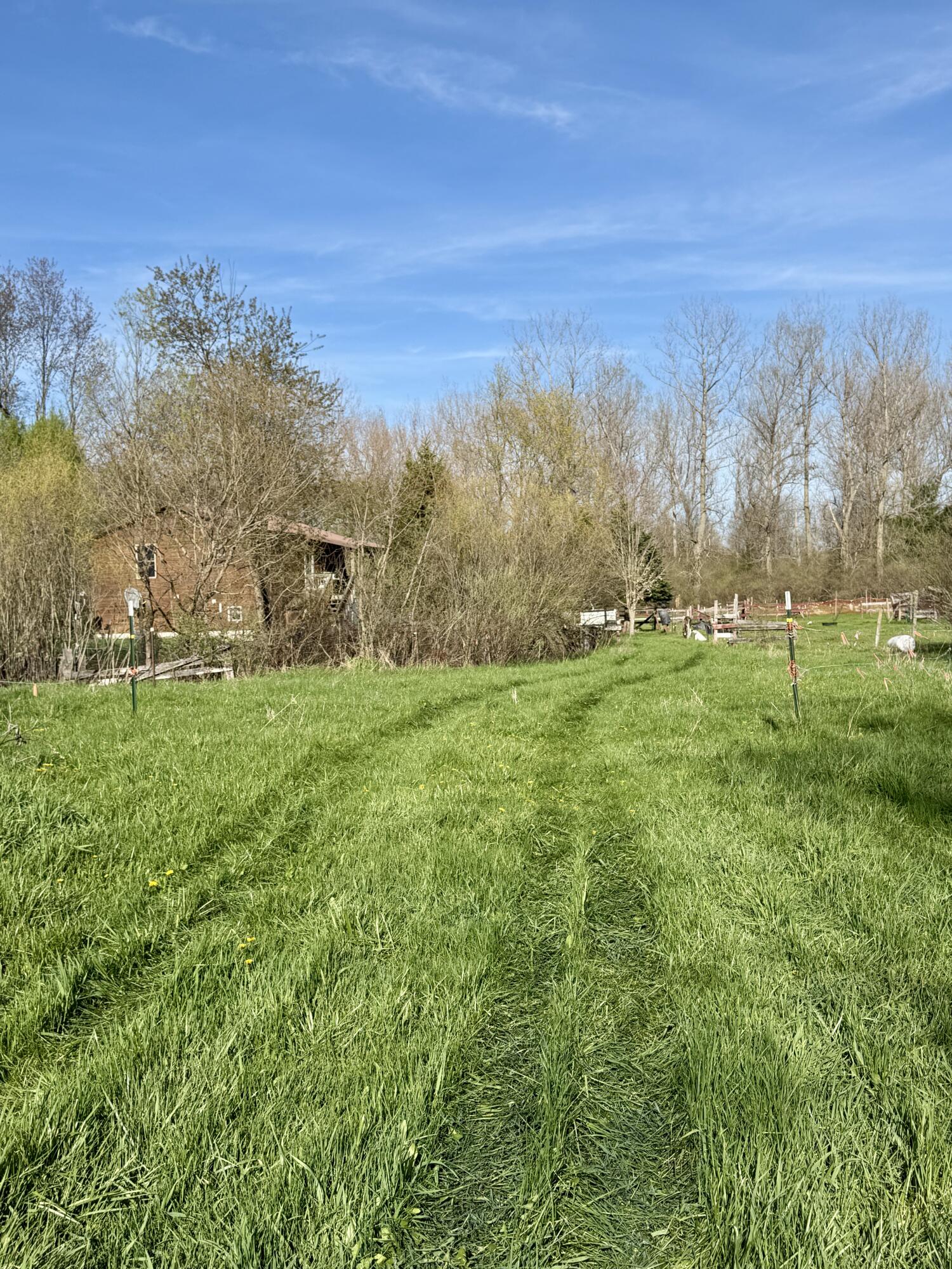 1525 South Poplar Road Custer, MI 49405 - Photo 46 of 70 IMG_1249 2