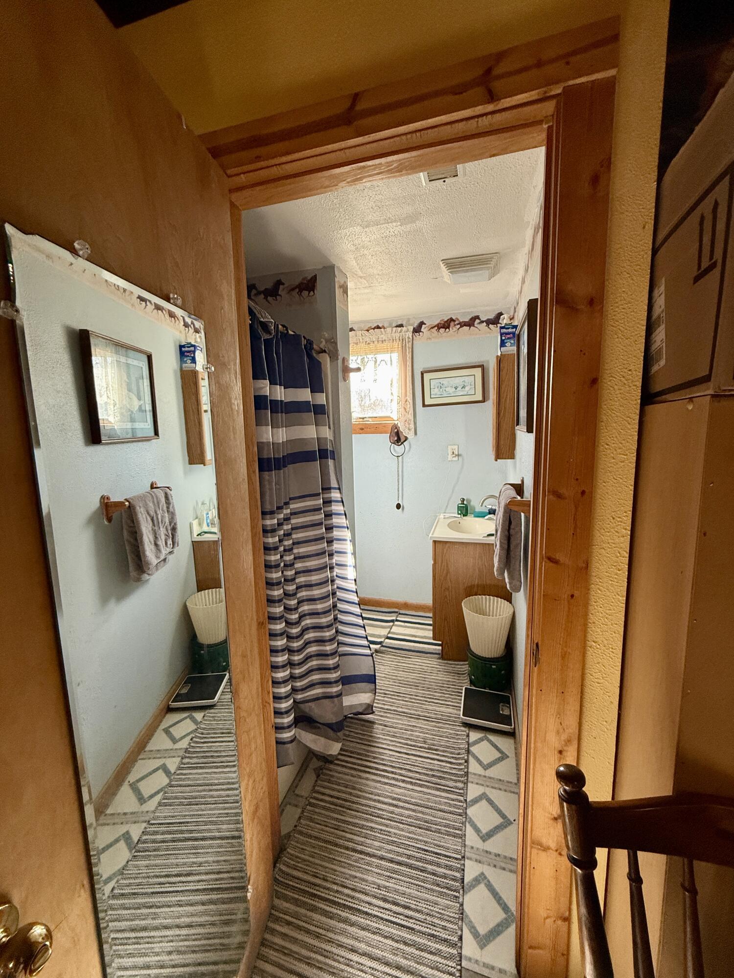 1525 South Poplar Road Custer, MI 49405 - Photo 47 of 70 Lower main level Bath