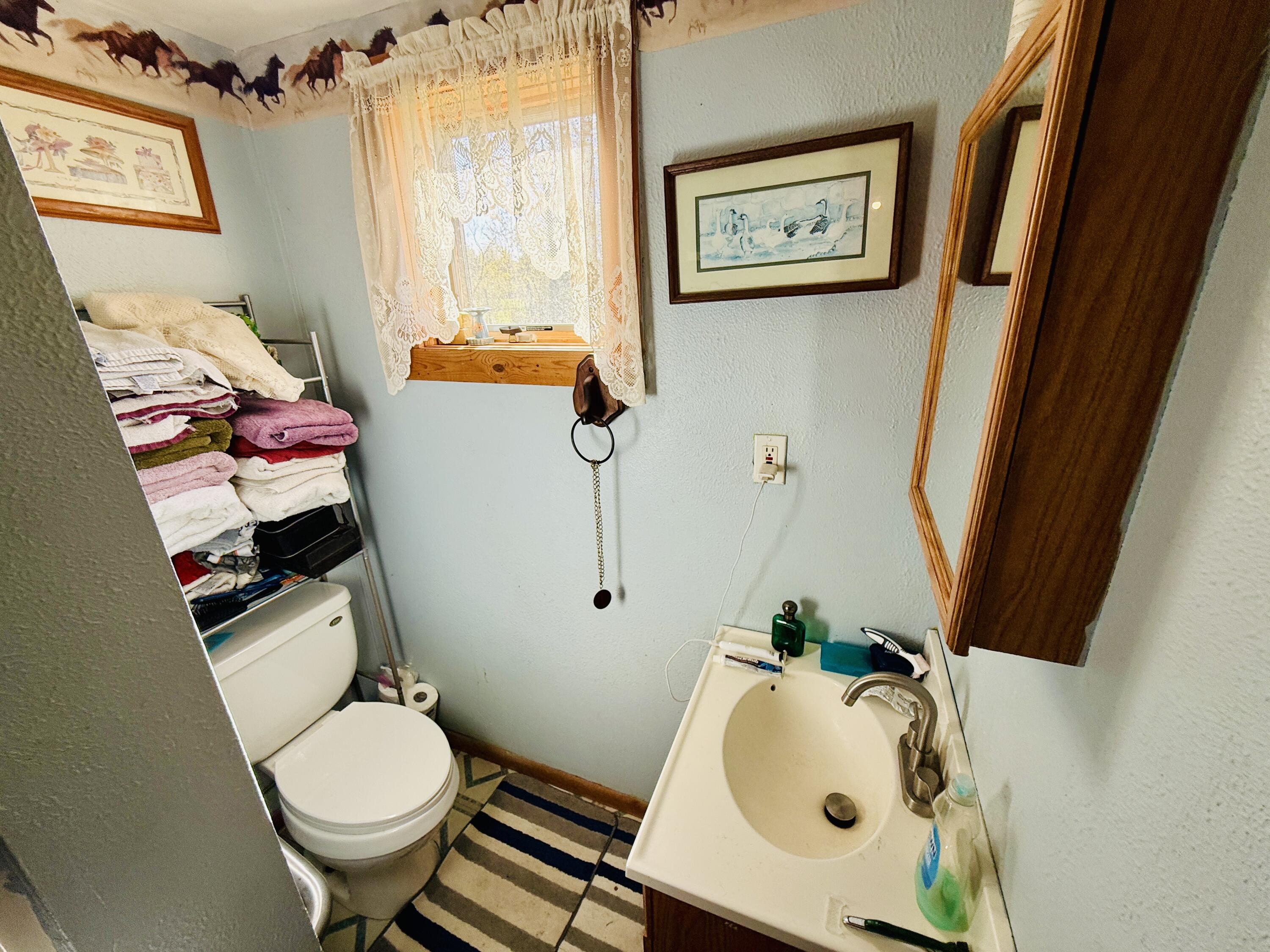 1525 South Poplar Road Custer, MI 49405 - Photo 48 of 70 Lower main Bath