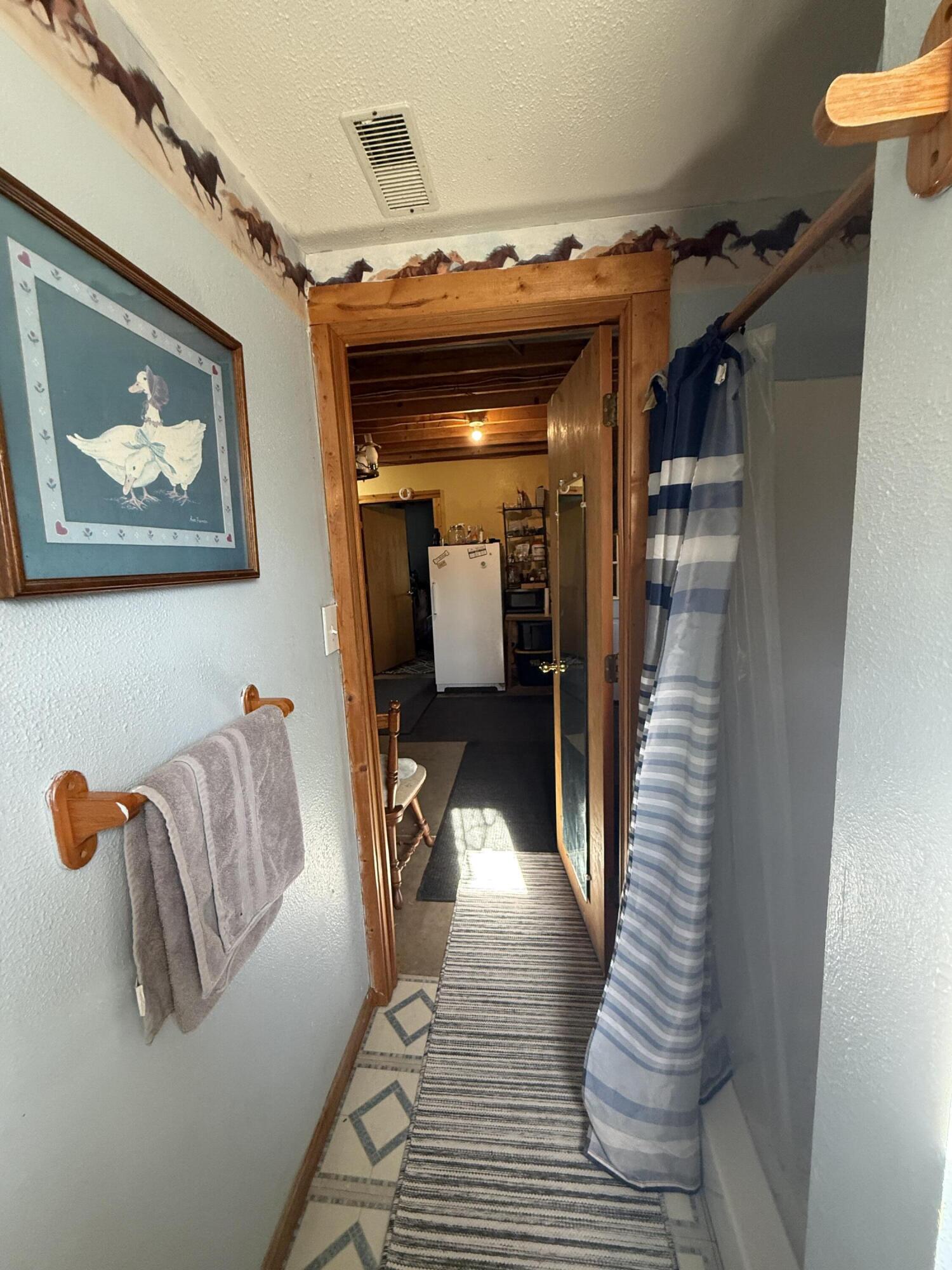 1525 South Poplar Road Custer, MI 49405 - Photo 49 of 70 Lower Main Bath