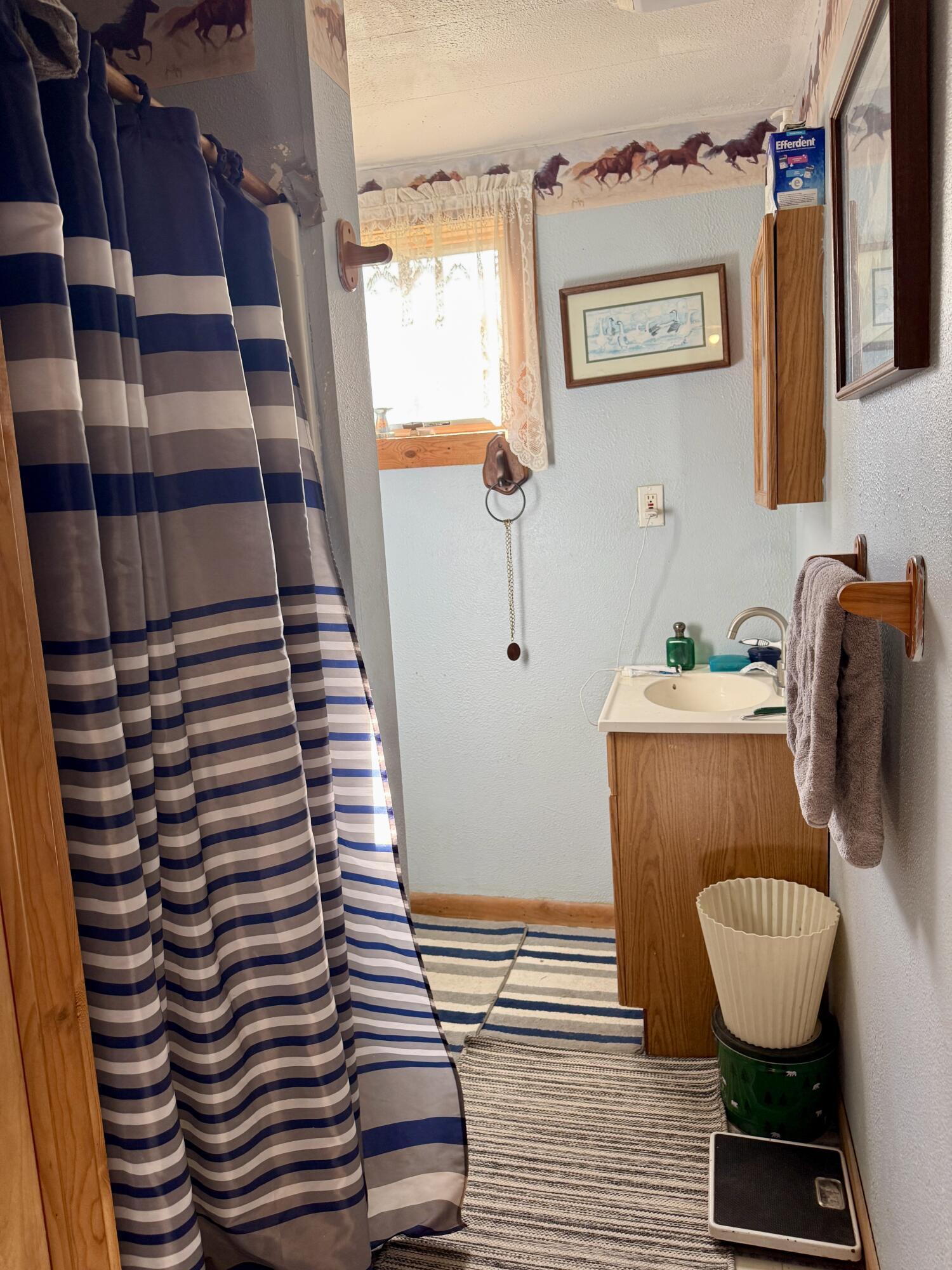 1525 South Poplar Road Custer, MI 49405 - Photo 50 of 70 Lower Main Bath