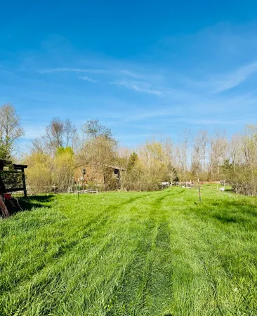 $390,000 | 1525 South Poplar Road, Custer, MI 49405