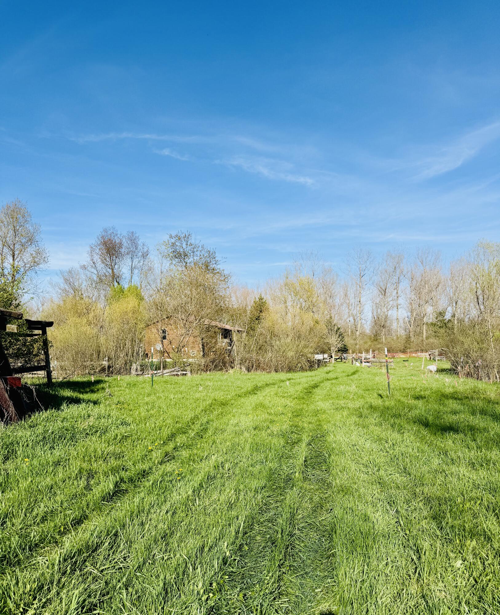 1525 South Poplar Road Custer, MI 49405 - Photo 54 of 70 IMG_1248 2