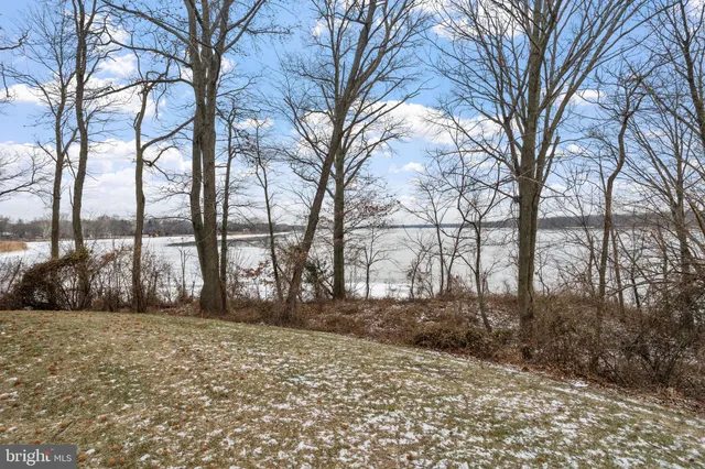 a view of outdoor space with trees