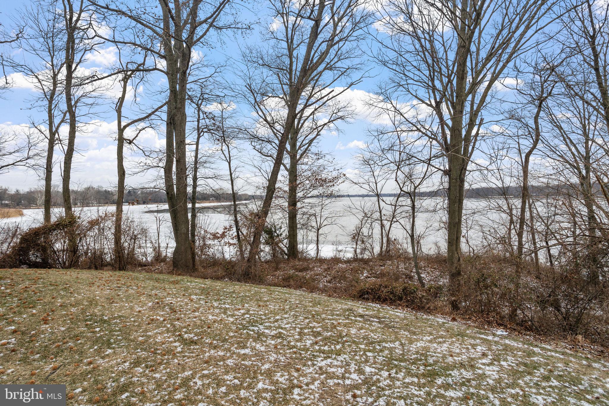 19 Fox Court Riverside, NJ 08075 - Photo 22 of 23 a view of outdoor space with trees
