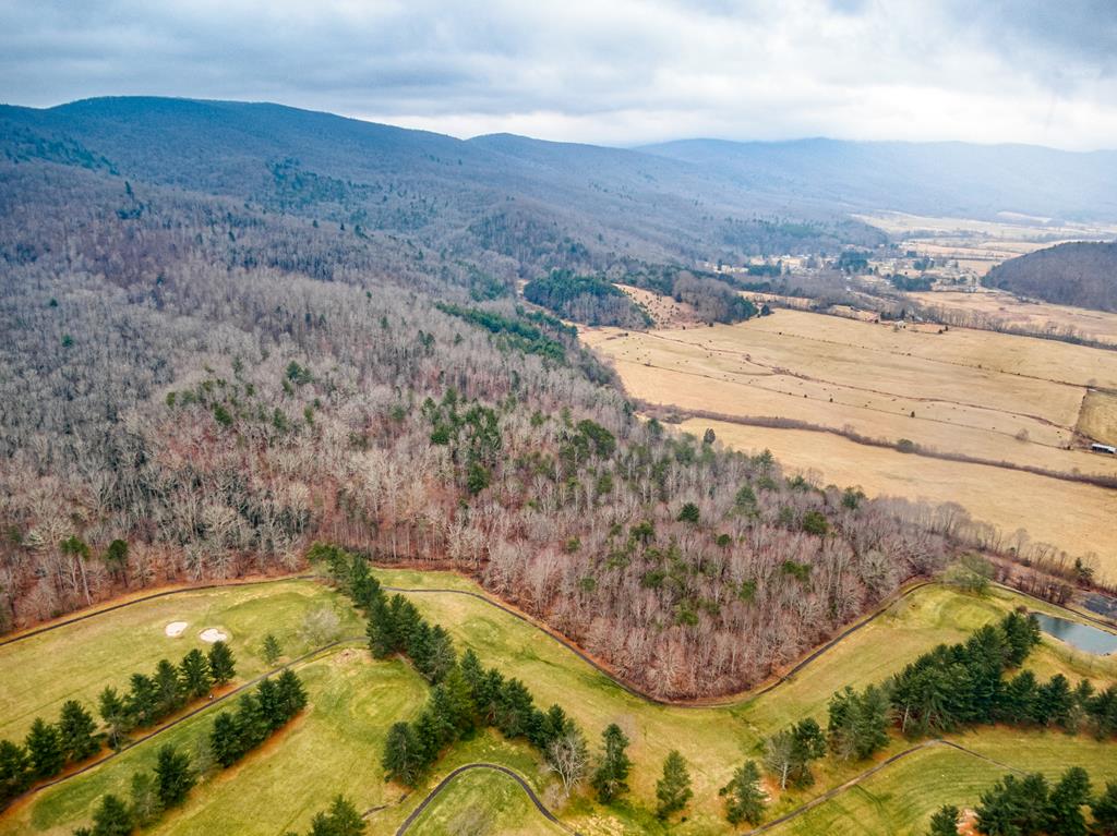 Tbd Tbd Grapefield Road Bastian, VA 24314 - Photo 12 of 39 Gallery Image 12