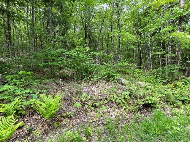 Dole School House Road Washington, NH 03280 - Photo 5 of 13