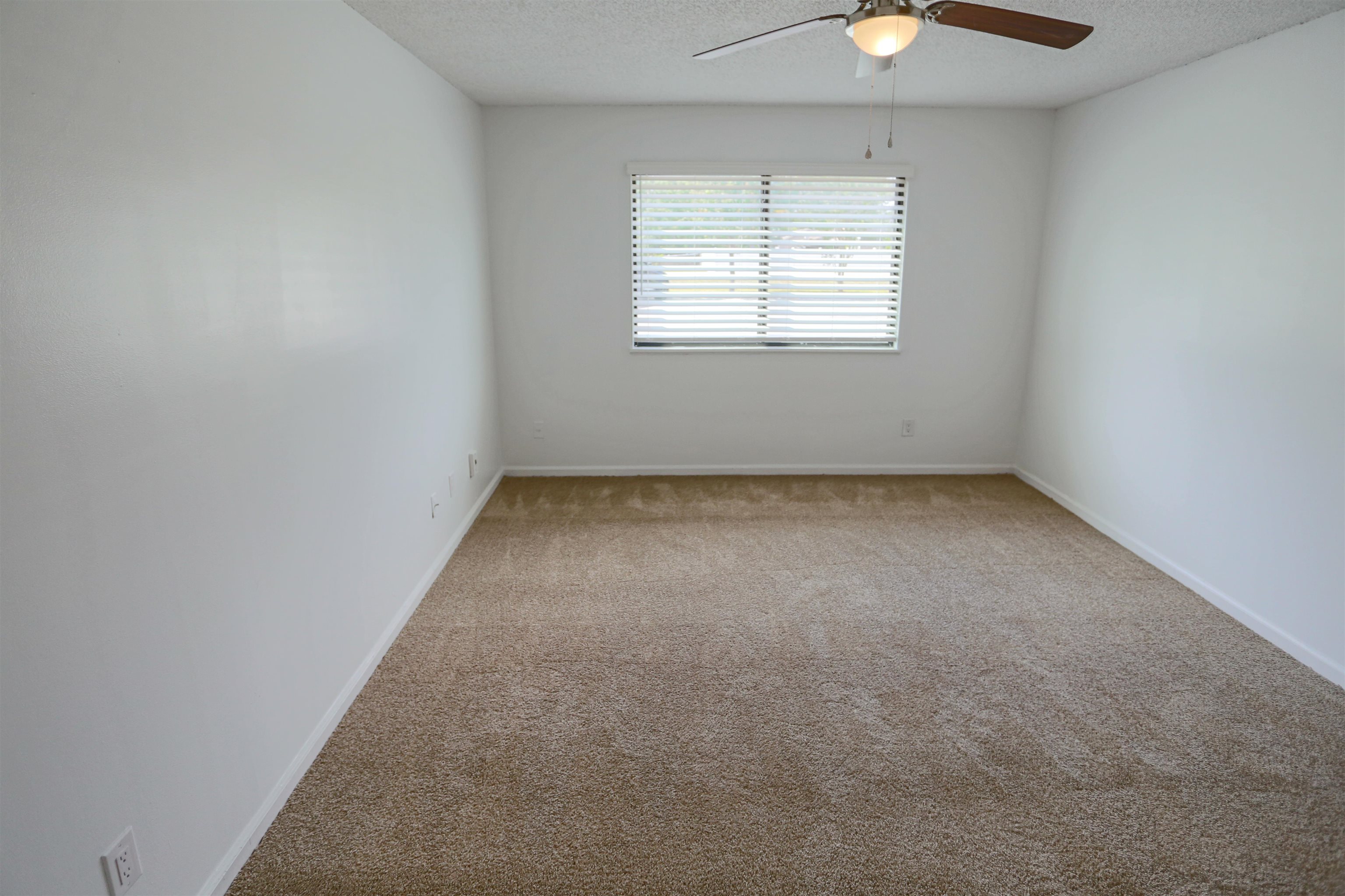 3765 Crown Point Road, Unit 4 Jacksonville, FL 32257 - Photo 24 of 27 an empty room with a window