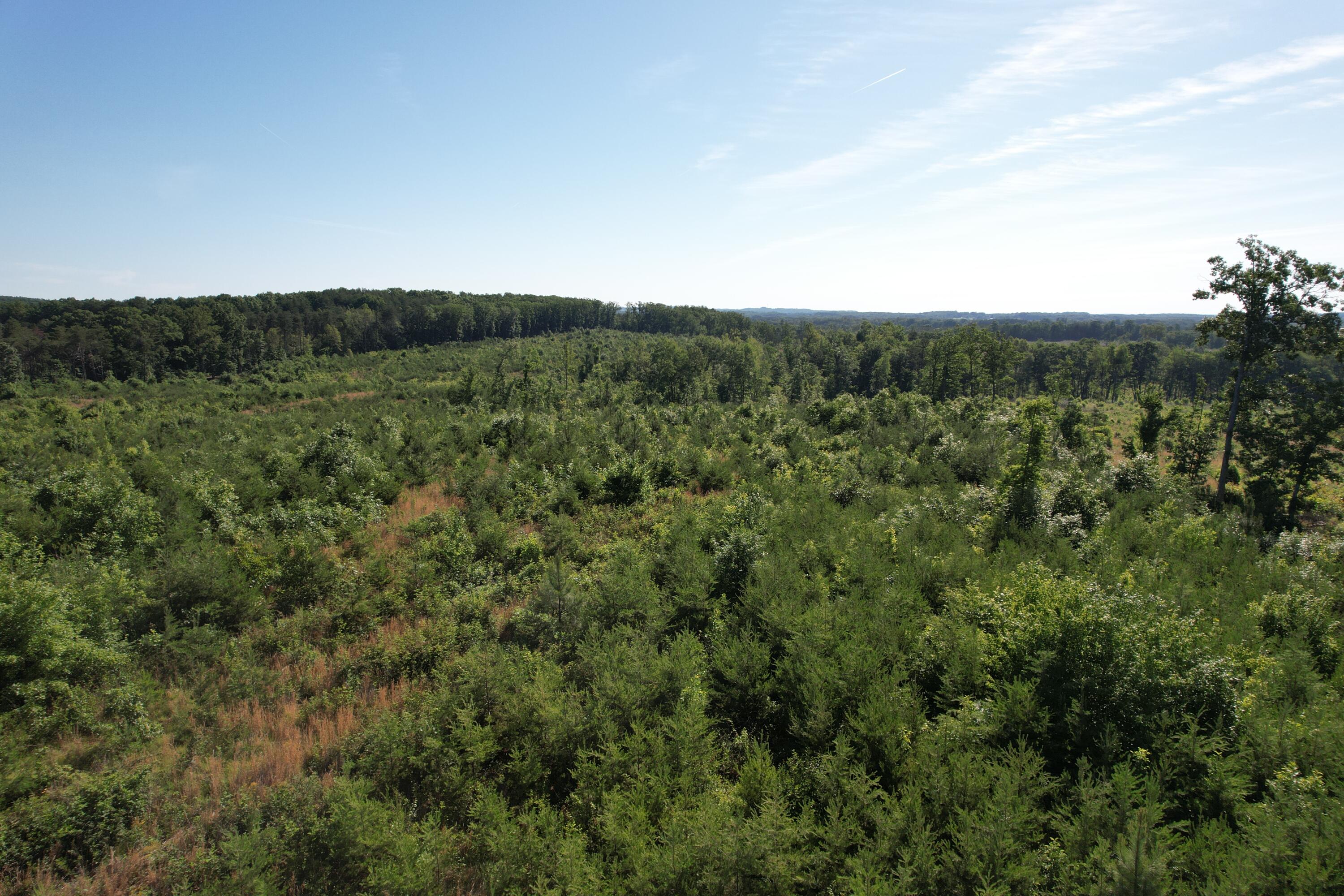 0 Georges Creek Road Gretna, VA 24557 - Photo 16 of 18 DJI_0533
