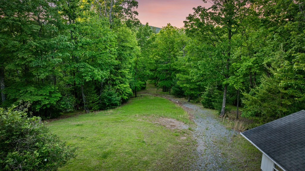 760 River Bend Lane Blue Ridge, GA 30513 - Photo 75 of 101