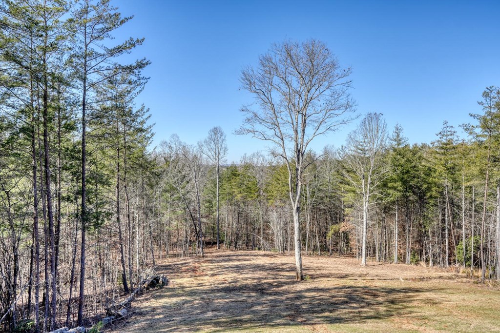 1661 Mauney Circle Blairsville, GA 30512 - Photo 46 of 63