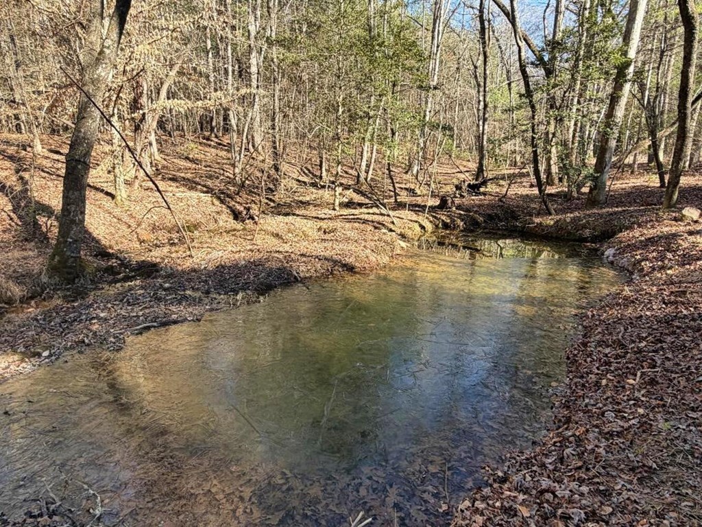 1661 Mauney Circle Blairsville, GA 30512 - Photo 51 of 63