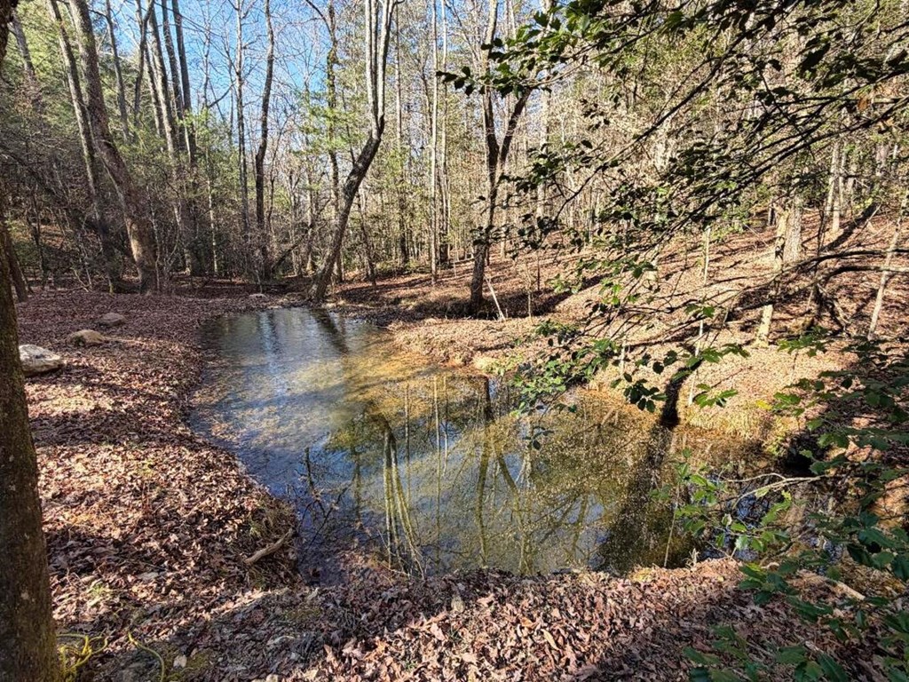 1661 Mauney Circle Blairsville, GA 30512 - Photo 52 of 63