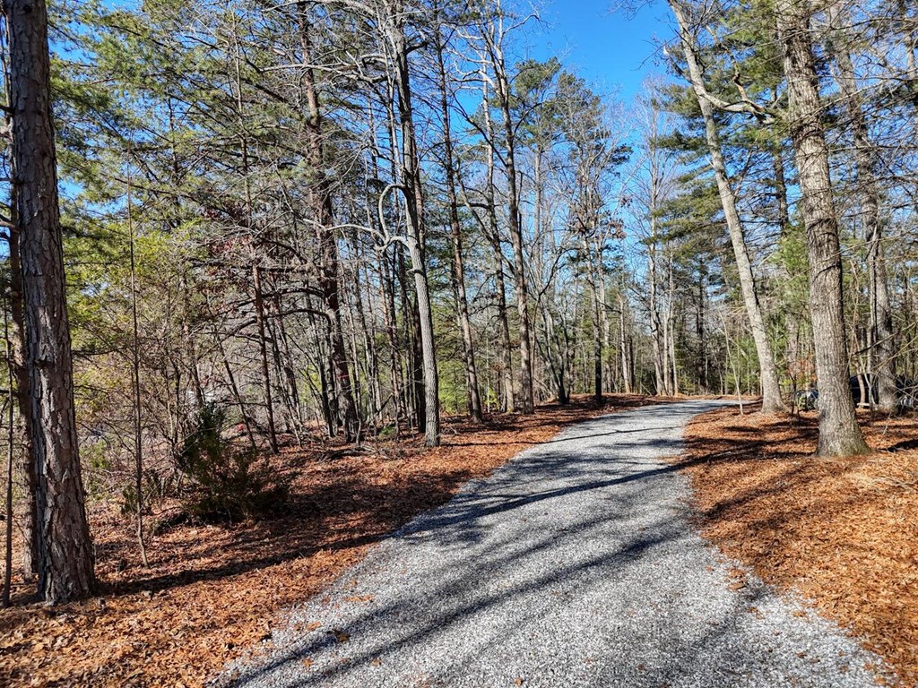 1661 Mauney Circle Blairsville, GA 30512 - Photo 53 of 63