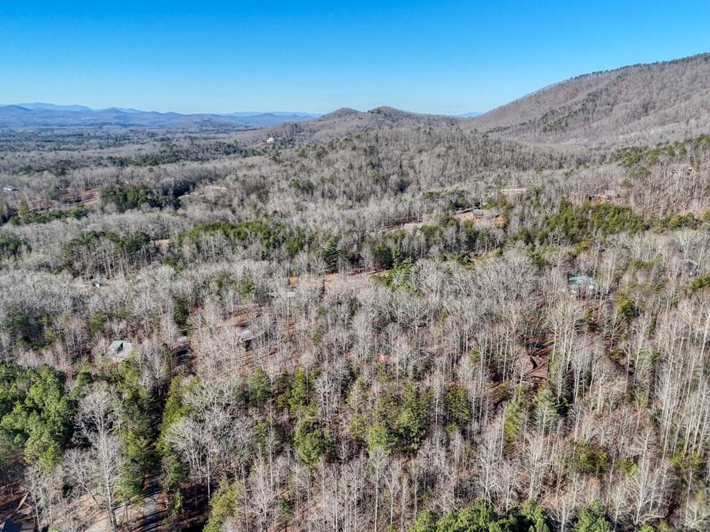 1661 Mauney Circle Blairsville, GA 30512 - Photo 55 of 63