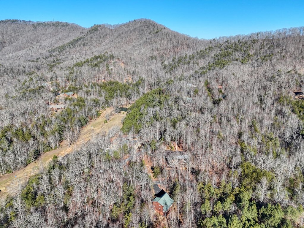 1661 Mauney Circle Blairsville, GA 30512 - Photo 56 of 63